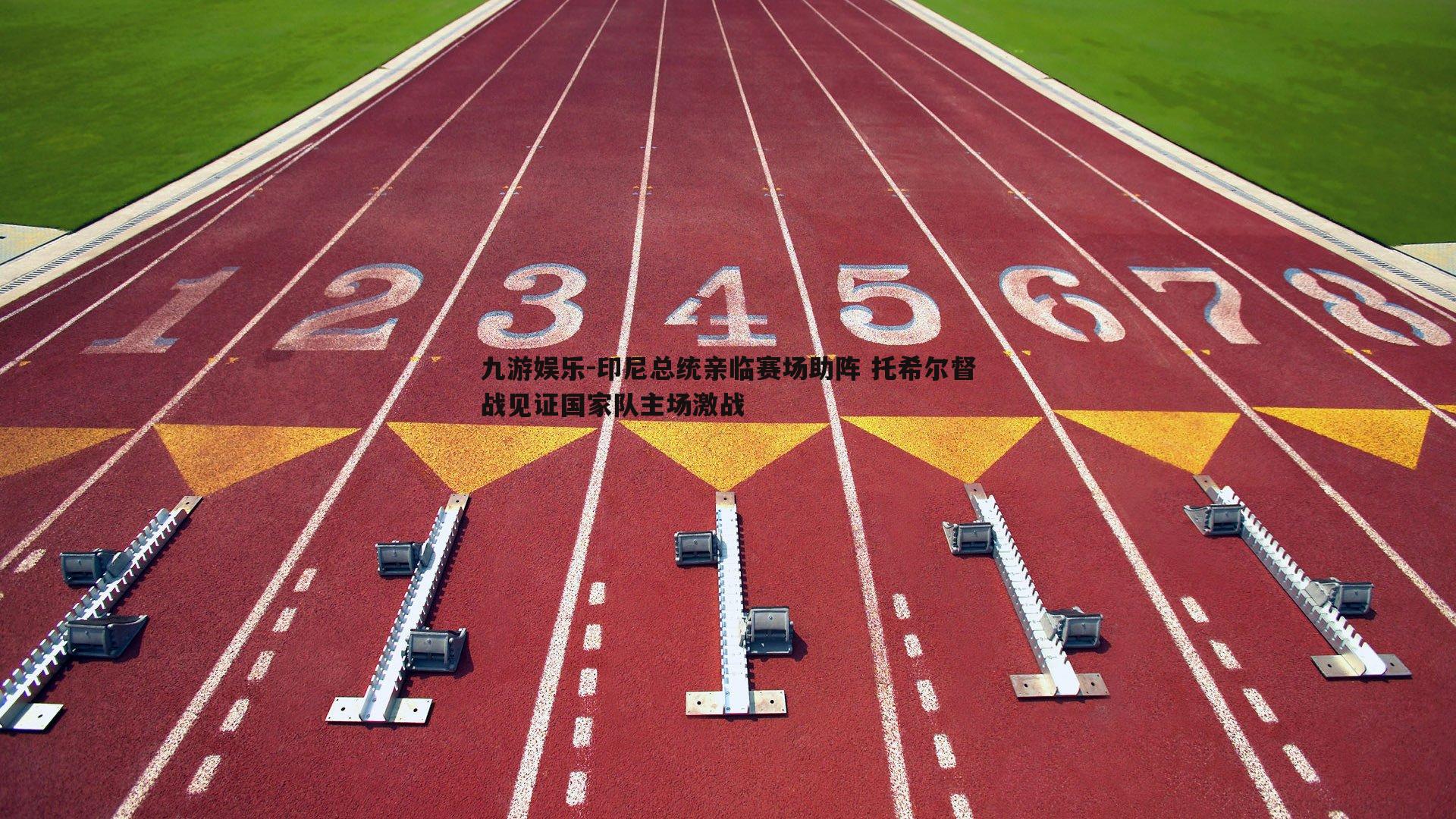 九游娱乐-印尼总统亲临赛场助阵 托希尔督战见证国家队主场激战